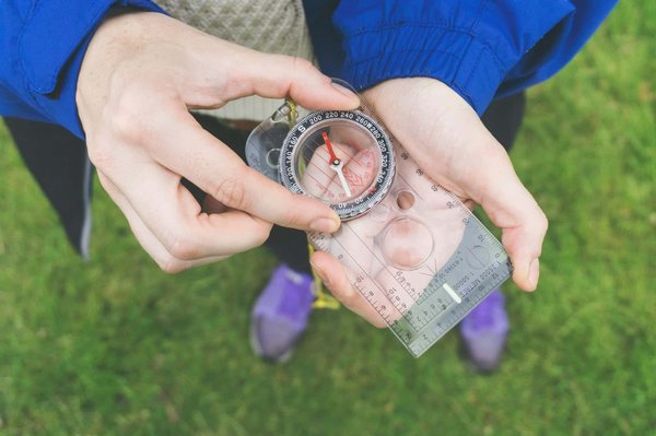 Comment organiser une visite des plantations de thé de Darjeeling, Inde?